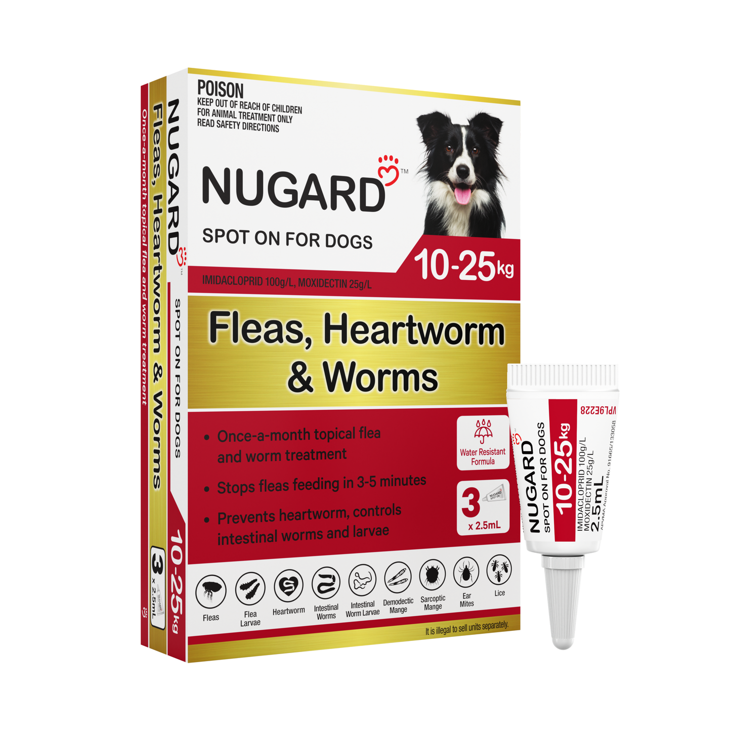 Flea Treatment - Medium - Dog