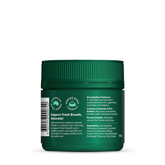 Dental Powder 80g