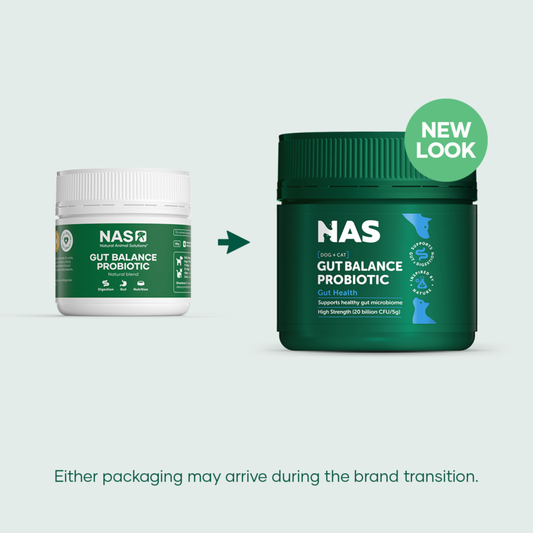 Gut Balance ProBiotic 80g – Natural