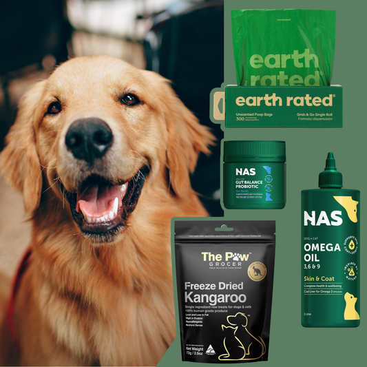 Big Breed, Big Needs