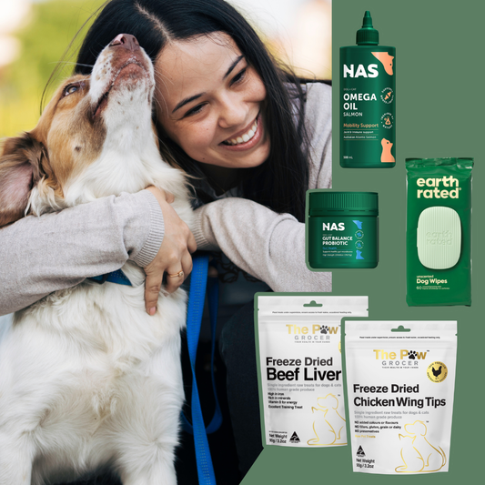 Everyday Essentials - Adult Dog