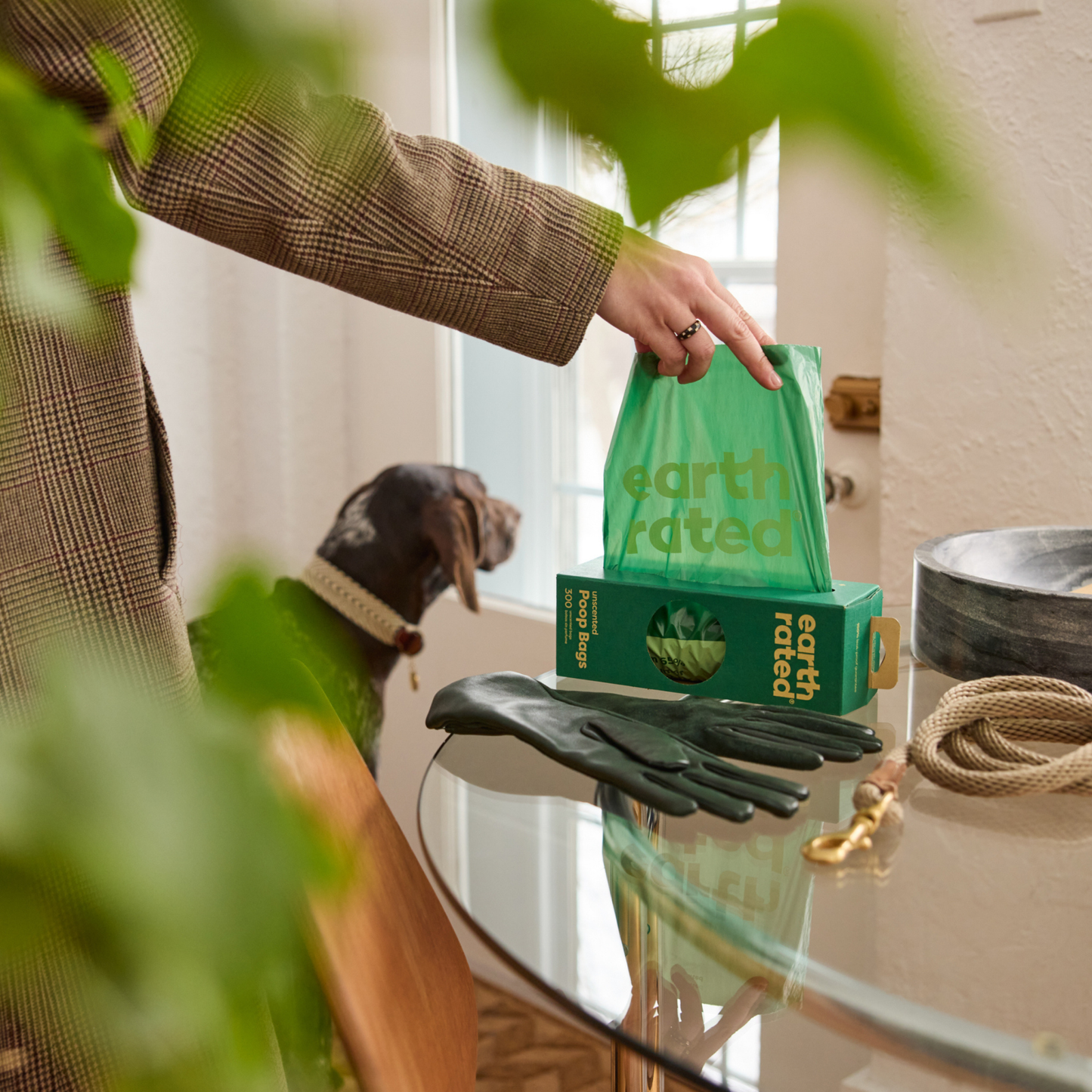 Earth Rated 300 Bags on a Large Single Roll - Unscented