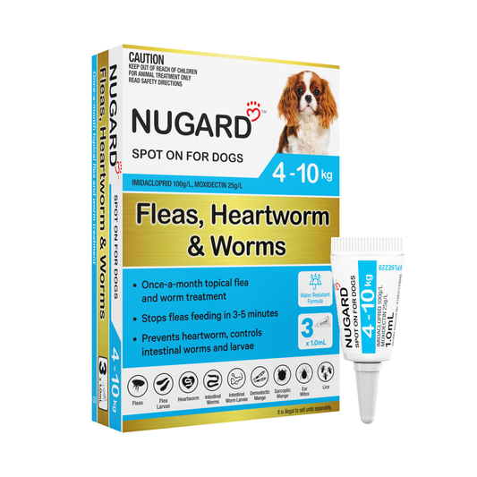 Flea Treatment - Small - Dog