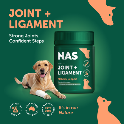 Joint & Ligament Support 120g