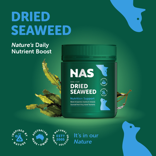 Dried Seaweed 300g