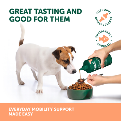 Omega Oil - Salmon 500ml NEW*