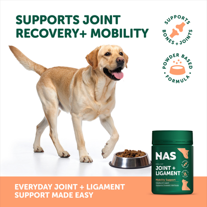 Joint & Ligament Support 120g