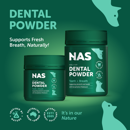 Dental Powder 80g NEW*