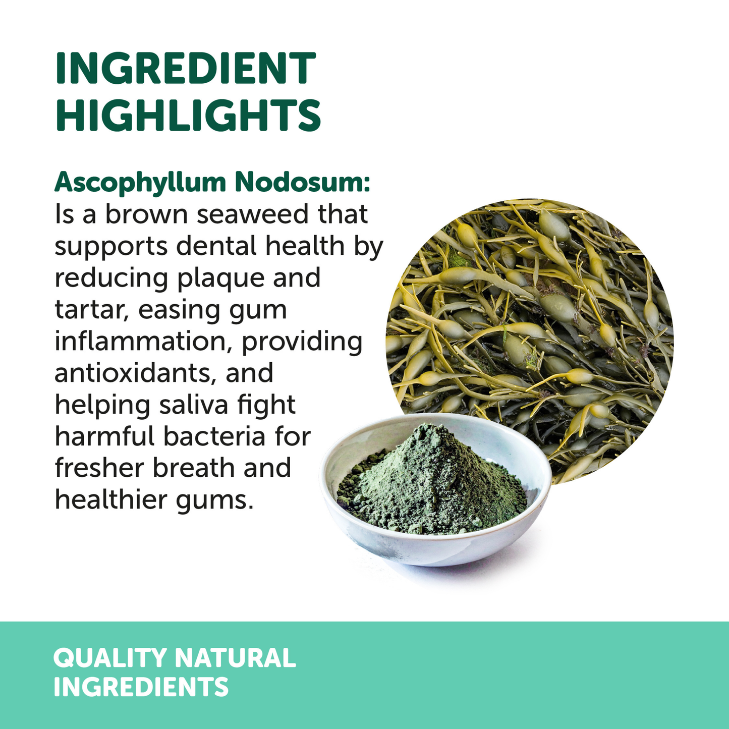 Dental Powder 80g NEW*