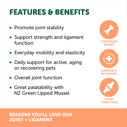 Joint & Ligament Support 120g